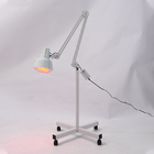 Single Head Floor Standing Acupuncture TDP Lamp ODM OEM