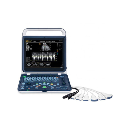 BPU60 Portable Veterinary Ultrasound Versatile Color Doppler Veterinary Ultrasound Equipment