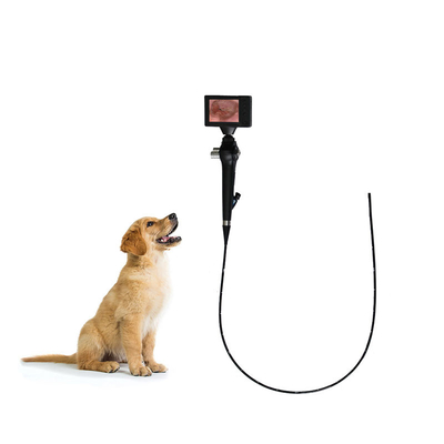 110 Degree Video Endoscope System Portable Veterinary Medical Supplies Endoscopy