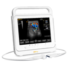 12mhz Animal Ultrasound Scanner Handheld Veterinary Medical Supplies Convex Array