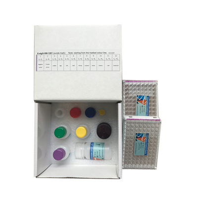 Food Specific IgG Antibody Test Kit ELISA 12 Tests Rapid IgG IgM