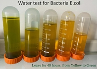 100 Strips PLA Bacteria Test Kit ,  PET E Coli Test Strips