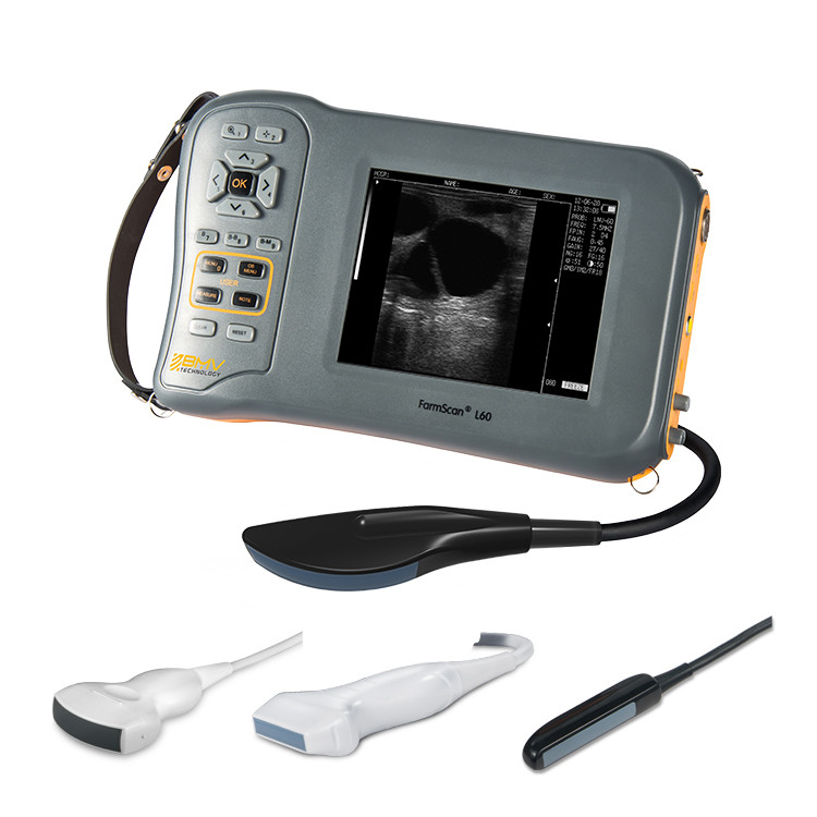5mhz Ultrasound Scan Machine 2.5-3.5mhz Veterinary Medical Supplies