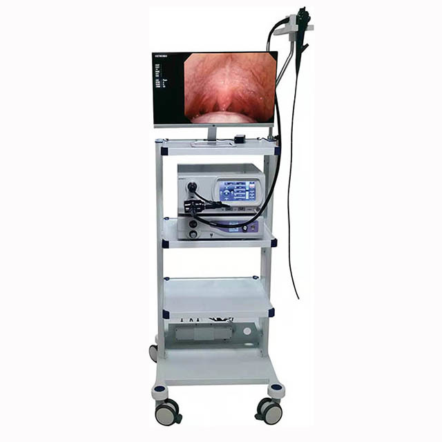 CMD 60A Pet Veterinary Medical Equipment Endoscope Video Gastroscope For Pets And Animals