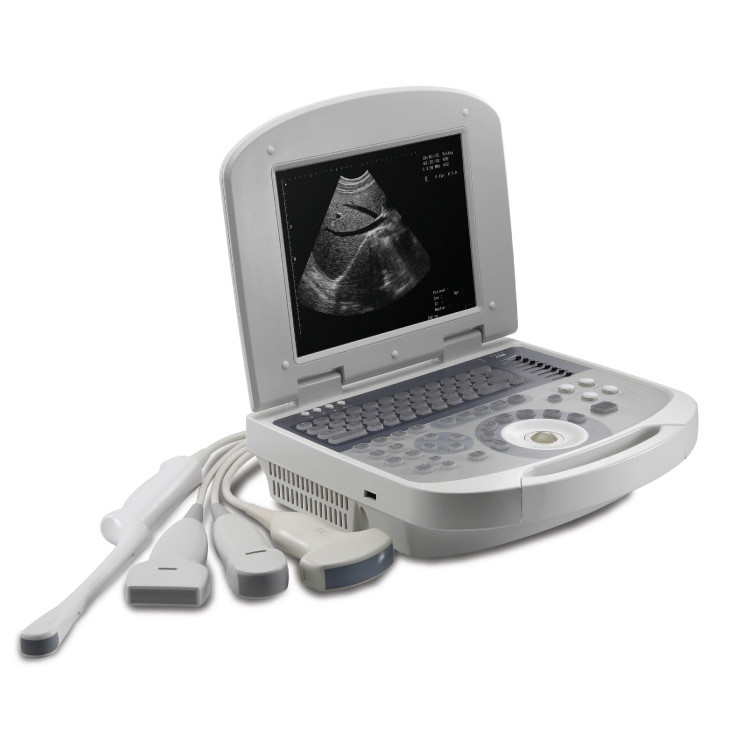 40mm Canine Ultrasound Machine Vaginal Probe Veterinary Medical Supplies Laptop Digital