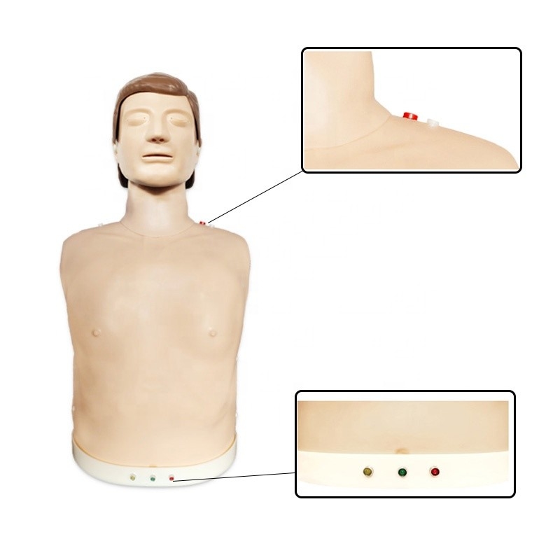 Half Body Medical Training Manikins Lights Indicator First Aid CPR Manakin